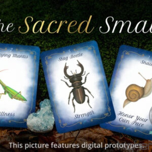 The Sacred Small (orakeljske karte v angleškem jeziku)